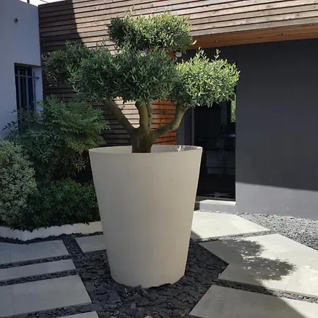 Villa Montpellier